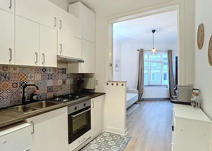 Magnifique Appartement Une Chambre